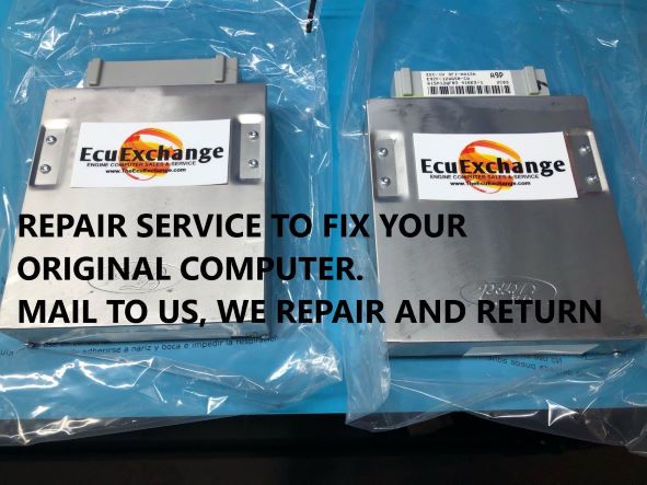 www.theecuexchange.com